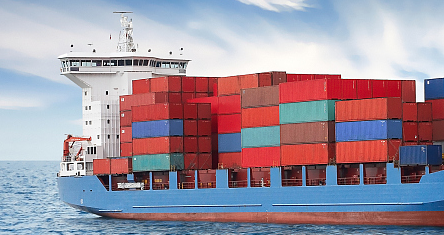 建设智慧绿色港口提升海运效能促进天津国际货运发展